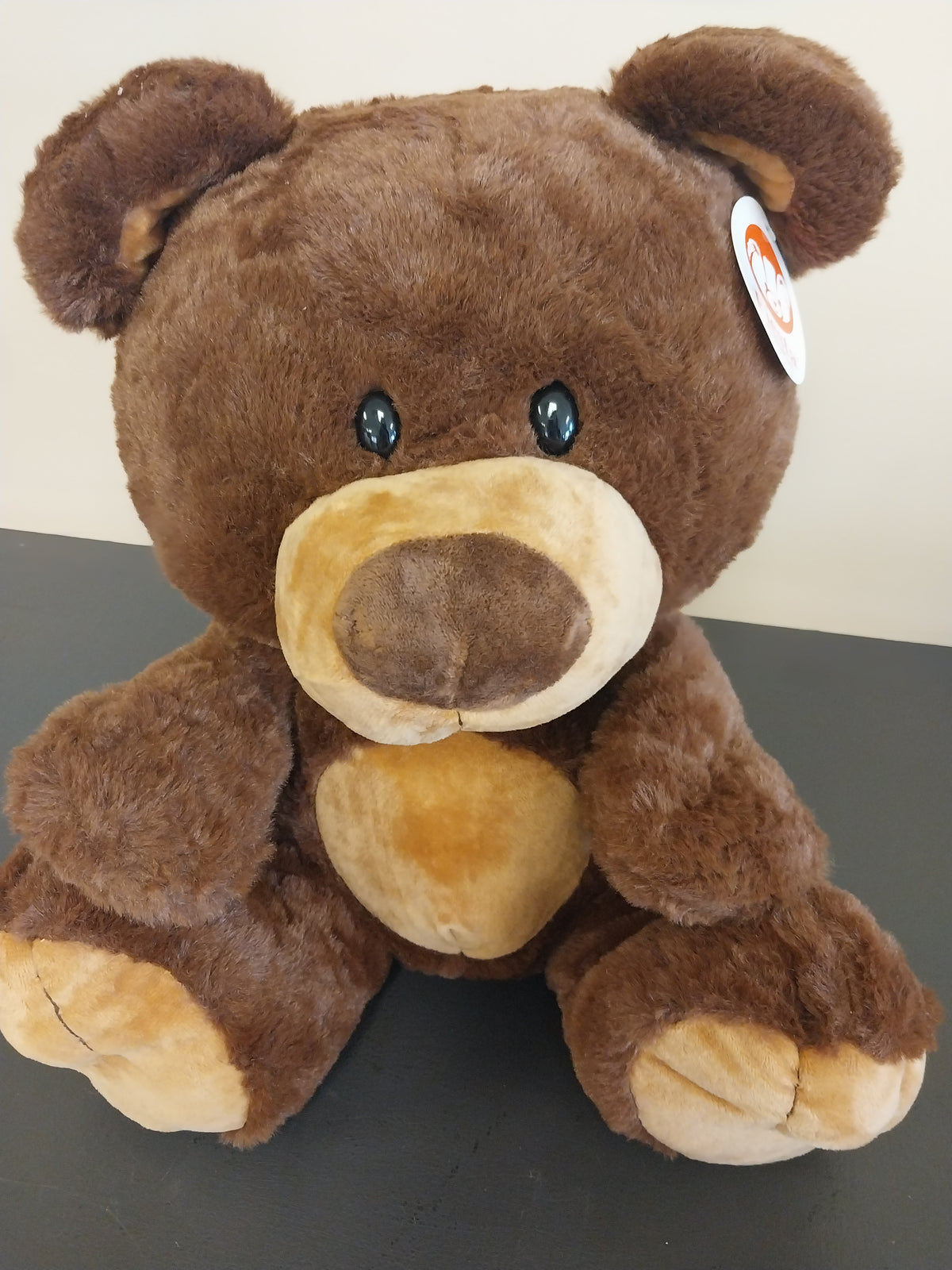 Plush Bear – DW FLORALS & GIFTS OF SANTA FE, Santa Fe TX