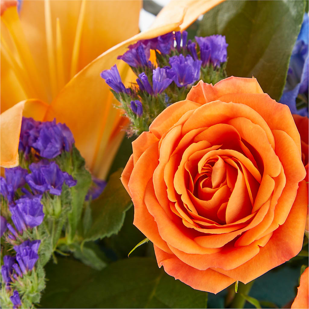 Radiant Citrus Box Bouquet – DW FLORALS & GIFTS OF SANTA FE, Santa Fe TX