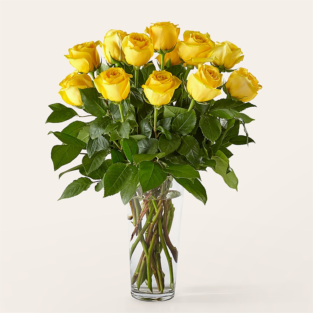 Long Stem Yellow Rose Bouquet – DW FLORALS & GIFTS OF SANTA FE, Santa Fe TX