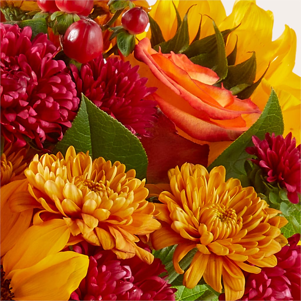 Sweater Season - A Florist Original – DW FLORALS & GIFTS OF SANTA FE, Santa Fe TX