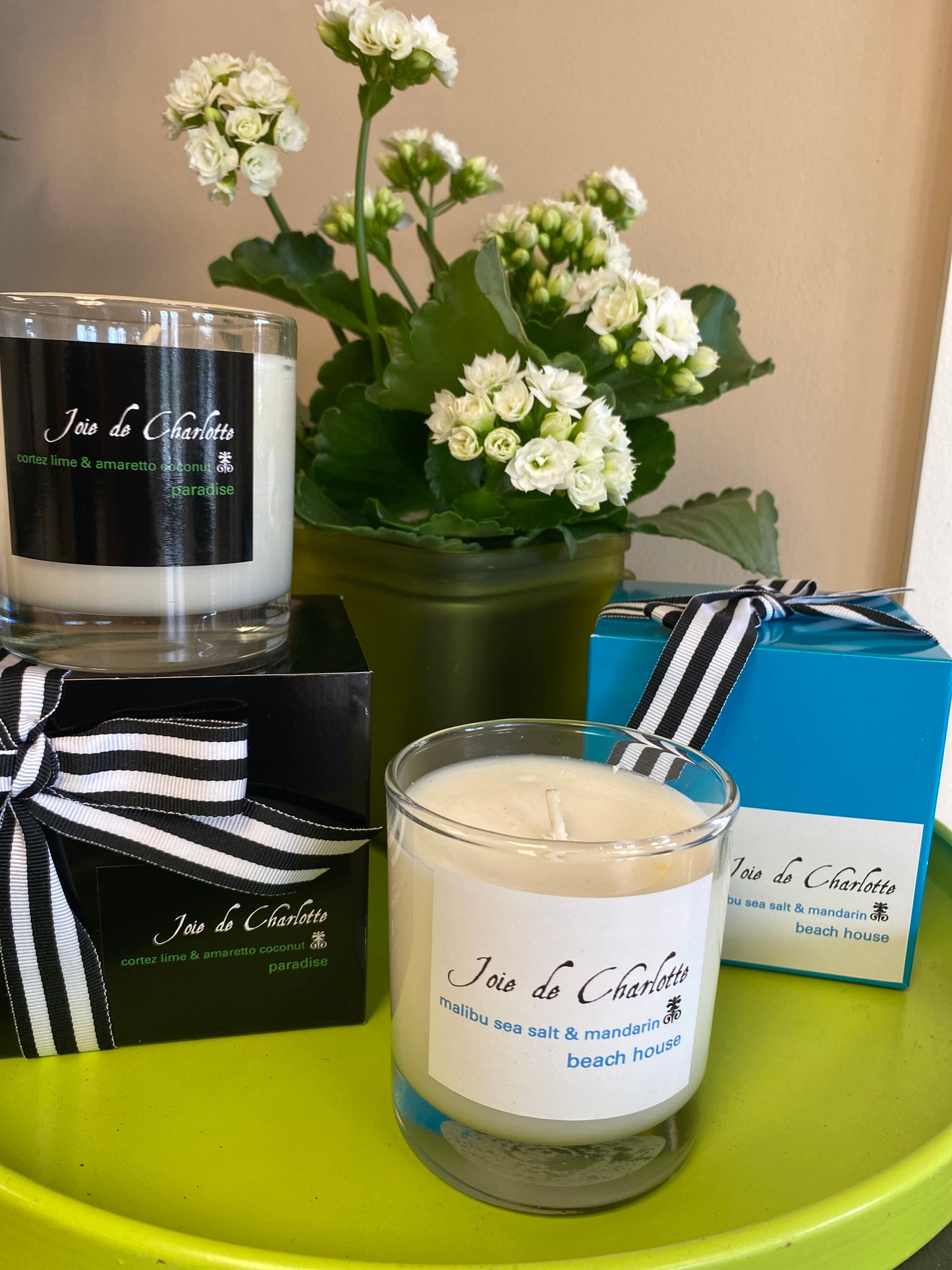 Joie de Charlotte Candle – DW FLORALS & GIFTS OF SANTA FE, Santa Fe TX