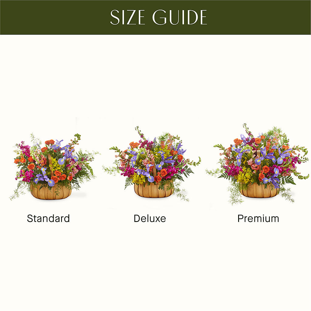 Garden of Life Basket – DW FLORALS & GIFTS OF SANTA FE, Santa Fe TX