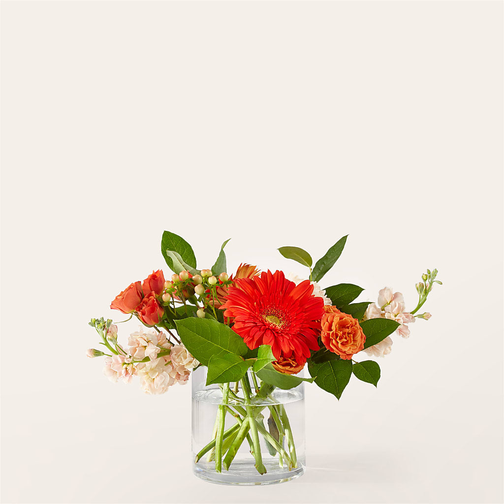 Paloma Please Bouquet – DW FLORALS & GIFTS OF SANTA FE, Santa Fe TX