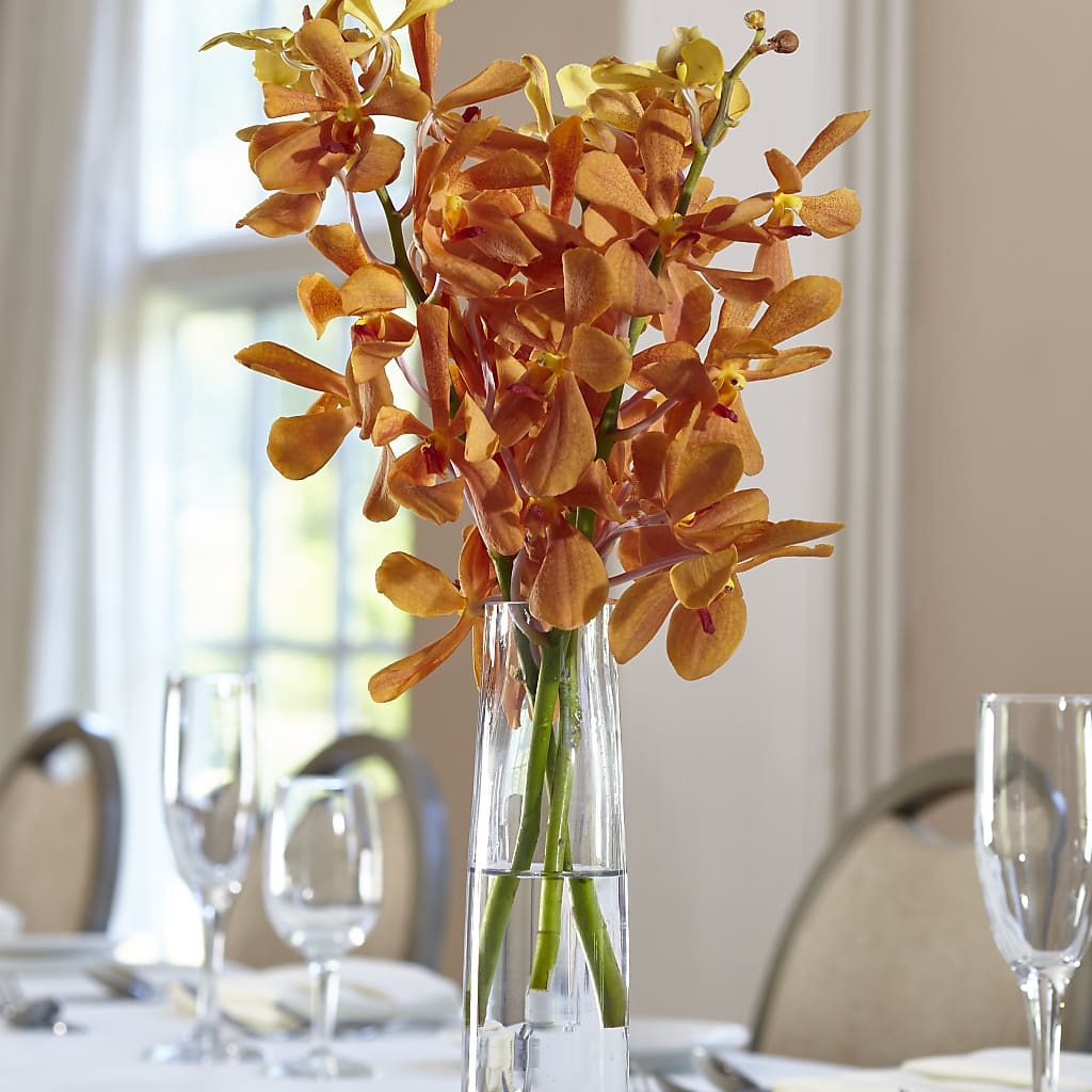 Orange Mokara Bud Vase – DW FLORALS & GIFTS OF SANTA FE, Santa Fe TX