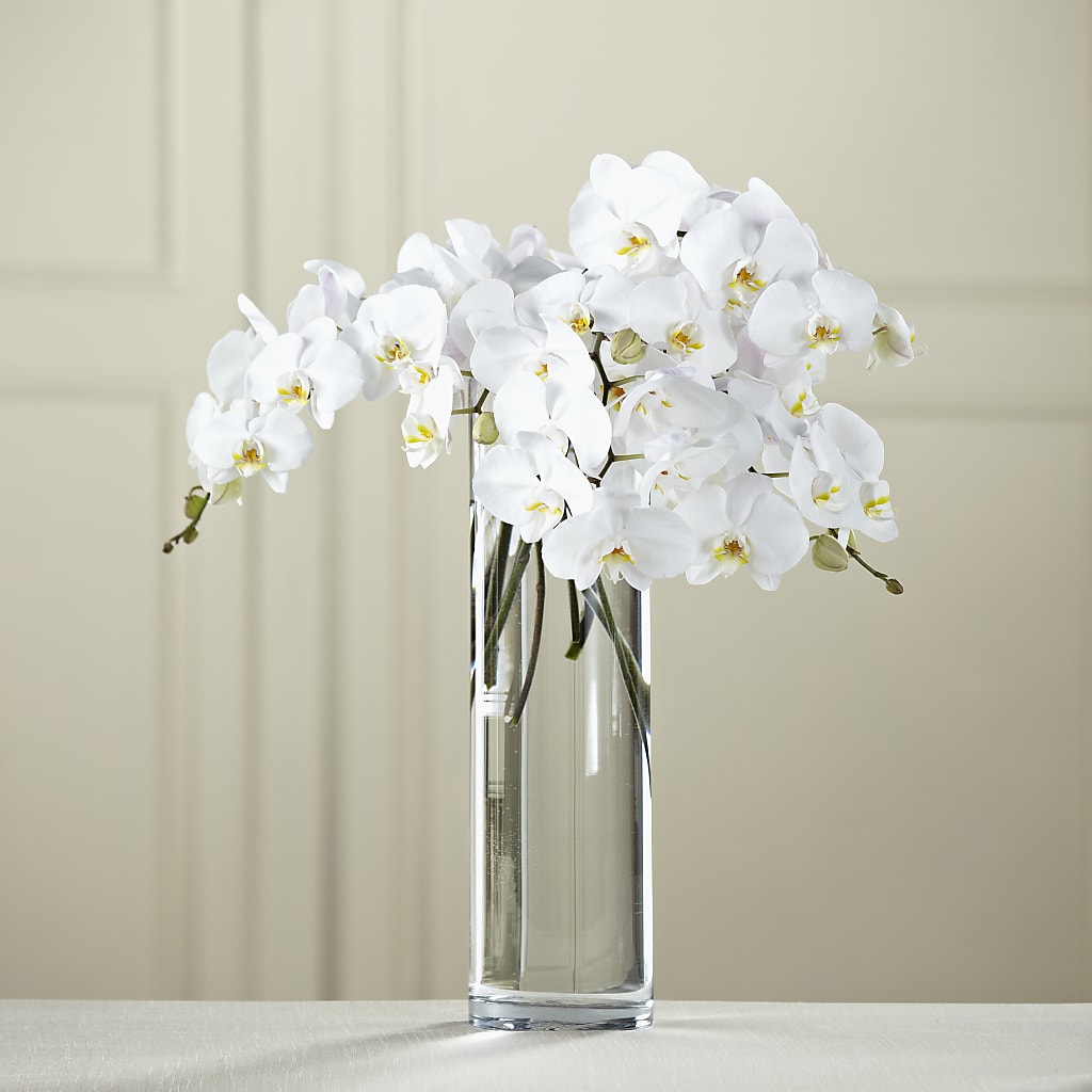 White Phalaenopsis Bouquet – DW FLORALS & GIFTS OF SANTA FE, Santa Fe TX