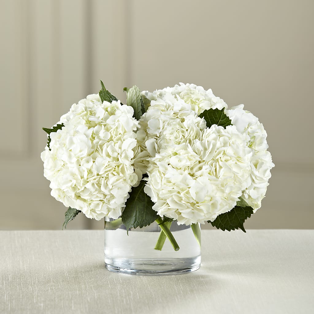 White Hydrangea Bouquet – DW FLORALS & GIFTS OF SANTA FE, Santa Fe TX