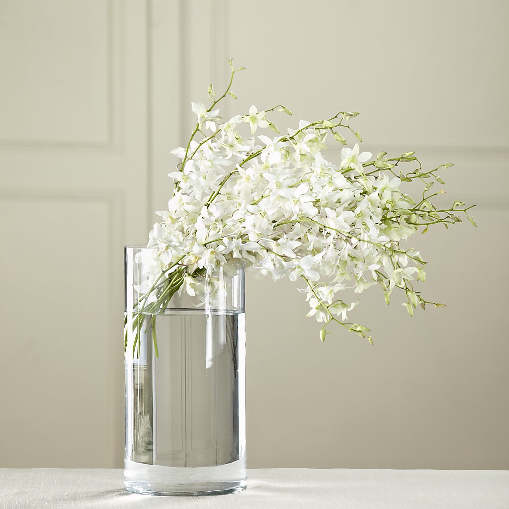 White Dendrobium Bouquet – DW FLORALS & GIFTS OF SANTA FE, Santa Fe TX