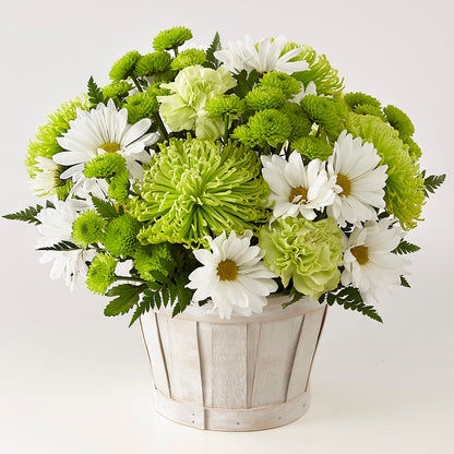 Lucky Charm Basket (Standard) – DW FLORALS & GIFTS OF SANTA FE, Santa Fe TX
