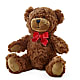 Adorable Plush Bear – DW FLORALS & GIFTS OF SANTA FE, Santa Fe TX