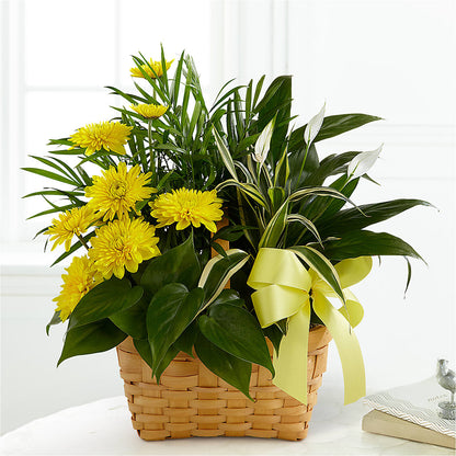 Loving Light Dishgarden – DW FLORALS & GIFTS OF SANTA FE, Santa Fe TX