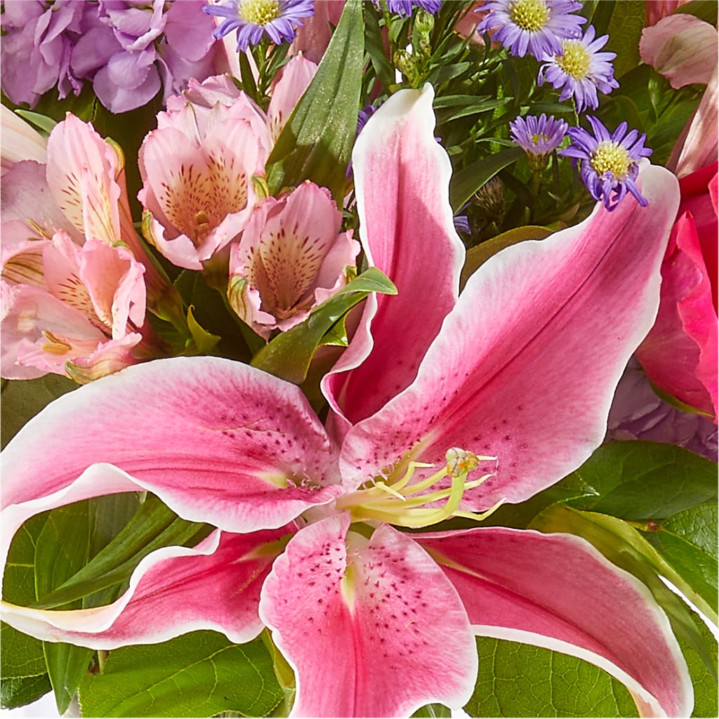 Written in the Stars Bouquet – DW FLORALS & GIFTS OF SANTA FE, Santa Fe TX