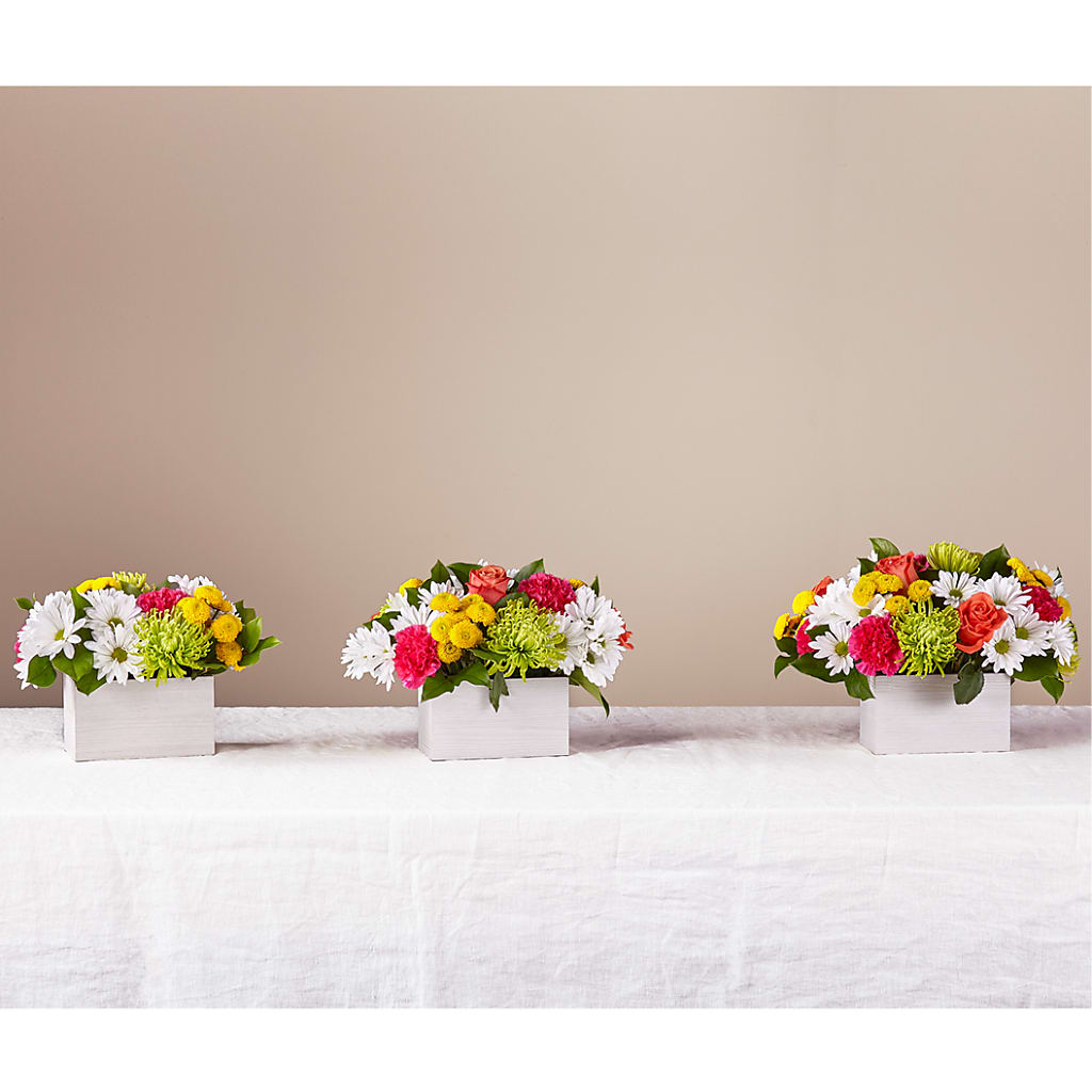 Sorbet Bouquet – DW FLORALS & GIFTS OF SANTA FE, Santa Fe TX