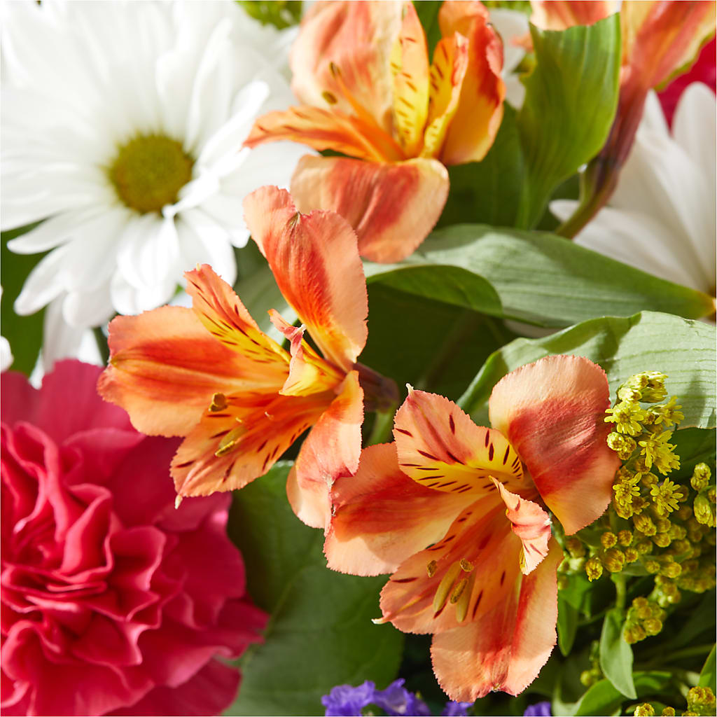 Oopsie Daisy Box Bouquet – DW FLORALS & GIFTS OF SANTA FE, Santa Fe TX