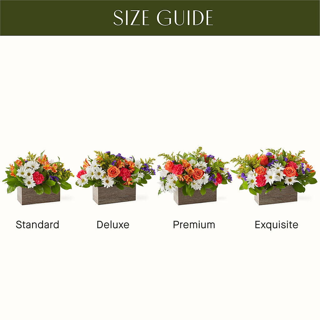 Oopsie Daisy Box Bouquet – DW FLORALS & GIFTS OF SANTA FE, Santa Fe TX