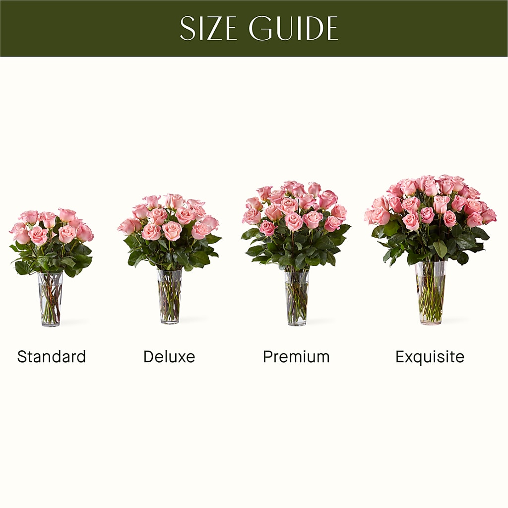 Long Stem Pink Rose Bouquet – DW FLORALS & GIFTS OF SANTA FE, Santa Fe TX
