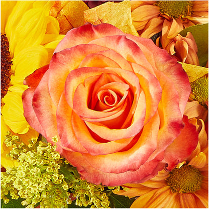 The Outdoors Bouquet – DW FLORALS & GIFTS OF SANTA FE, Santa Fe TX