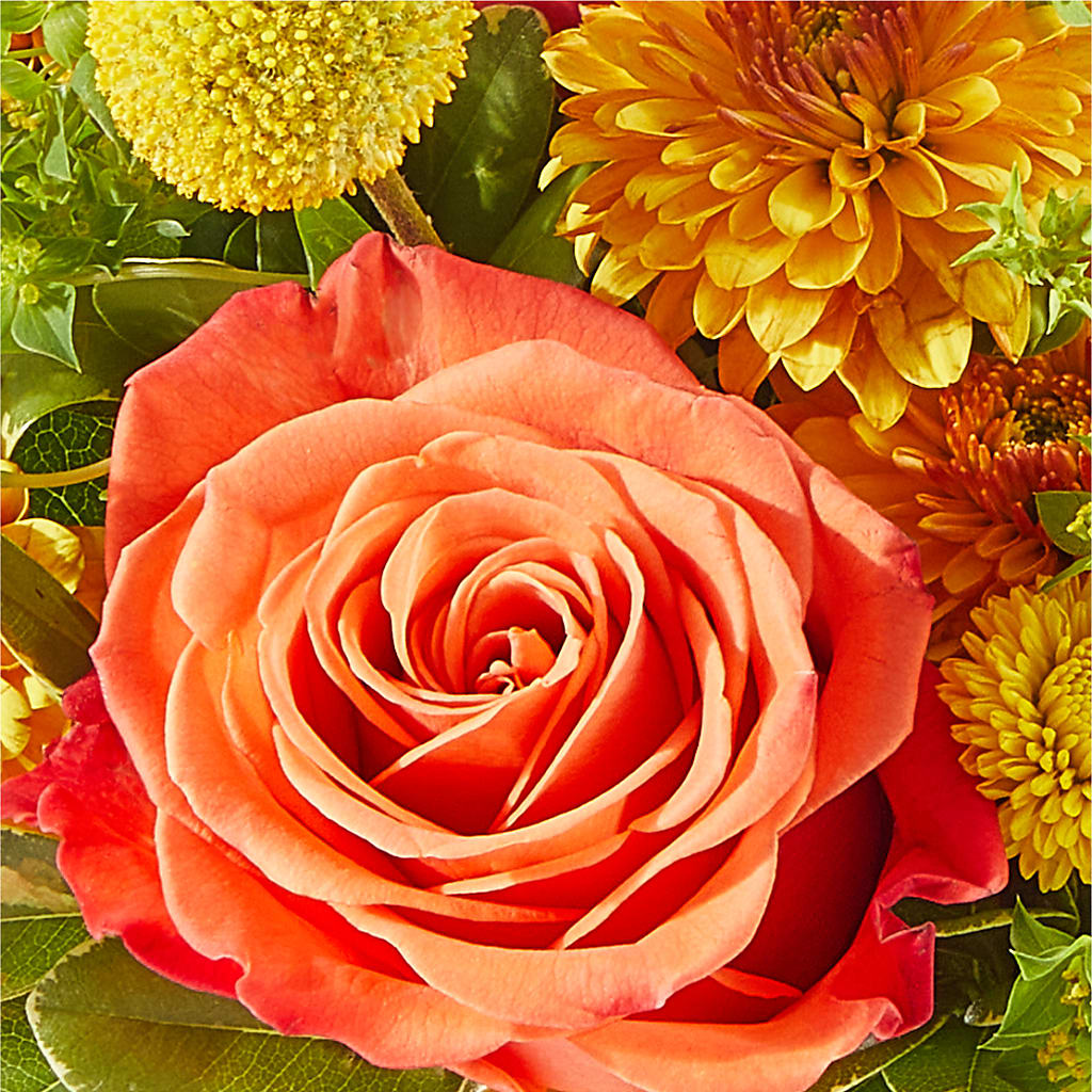 Gourdgeous Pumpkin – DW FLORALS & GIFTS OF SANTA FE, Santa Fe TX