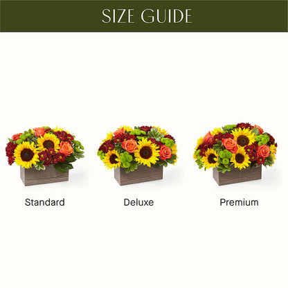 Happy Harvest Garden – DW FLORALS & GIFTS OF SANTA FE, Santa Fe TX