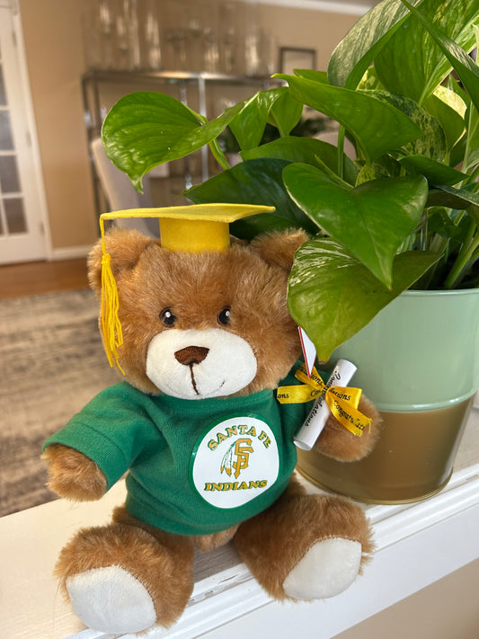 Santa Fe Grad Bear