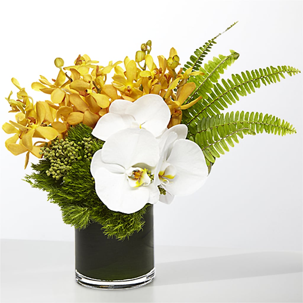 The Tropics – DW FLORALS & GIFTS OF SANTA FE, Santa Fe TX