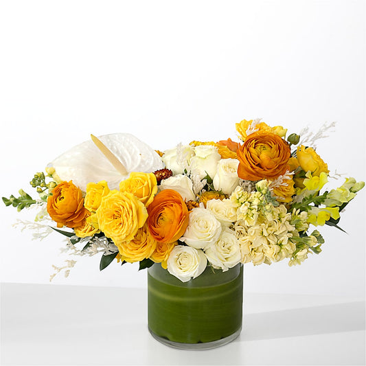 The Optimist – DW FLORALS & GIFTS OF SANTA FE, Santa Fe TX