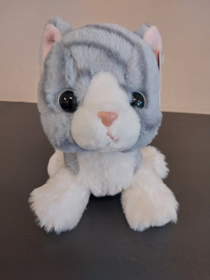 Kitten Plush  – DW FLORALS & GIFTS OF SANTA FE, Santa Fe TX