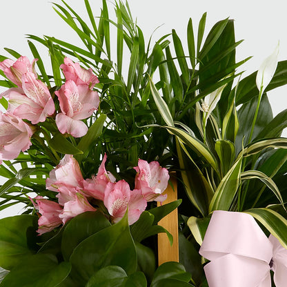 Living Spirit Dishgarden – DW FLORALS & GIFTS OF SANTA FE, Santa Fe TX