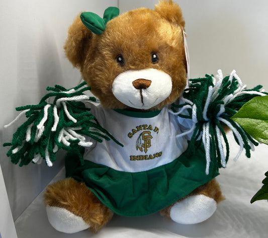 Santa Fe Indians Cheerleader Bear – DW FLORALS & GIFTS OF SANTA FE, Santa Fe TX
