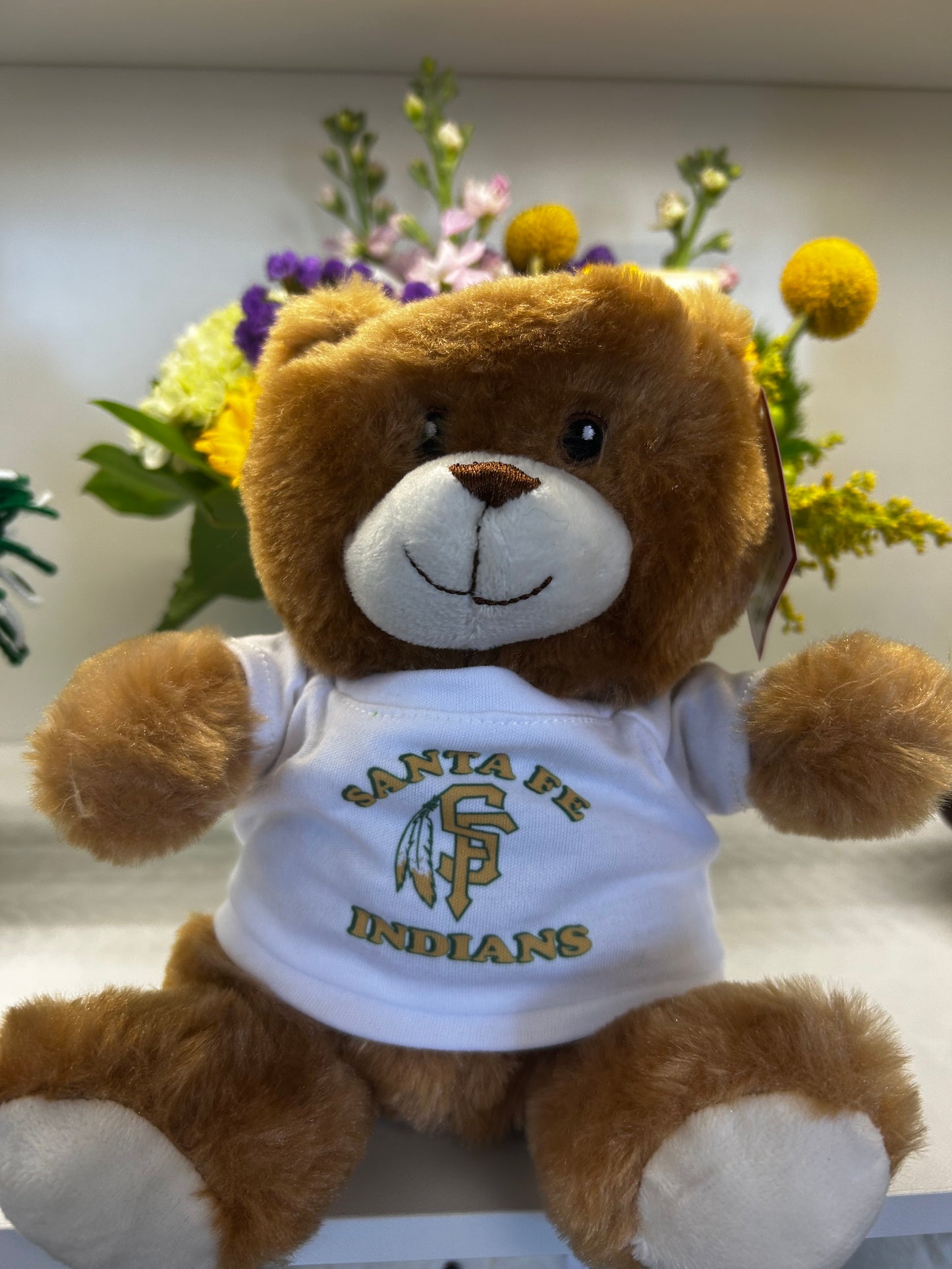Santa Fe Indians Bear – DW FLORALS & GIFTS OF SANTA FE, Santa Fe TX