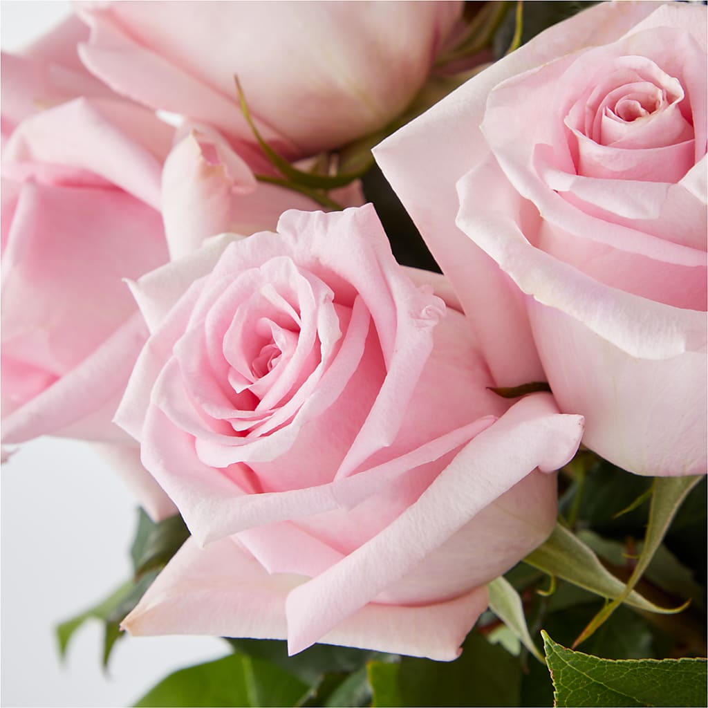 Picture Perfect Pink Rose Bouquet – DW FLORALS & GIFTS OF SANTA FE, Santa Fe TX