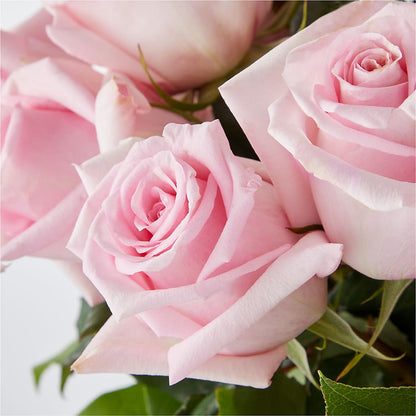 Picture Perfect Pink Rose Bouquet – DW FLORALS & GIFTS OF SANTA FE, Santa Fe TX