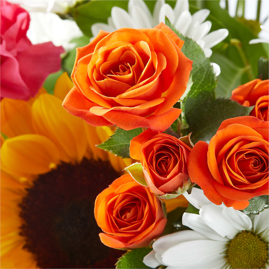 Sun-drenched Blooms Bouquet – DW FLORALS & GIFTS OF SANTA FE, Santa Fe TX