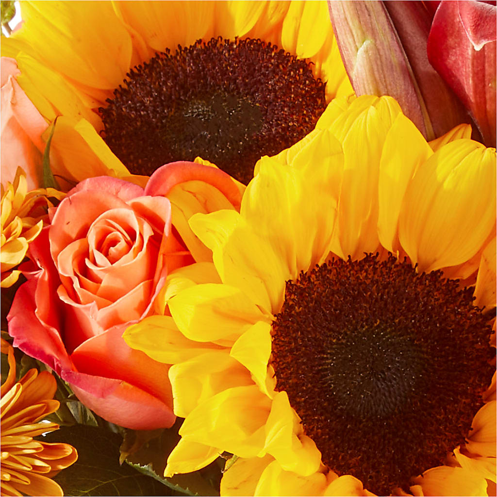 Acorn Lane Bouquet – DW FLORALS & GIFTS OF SANTA FE, Santa Fe TX