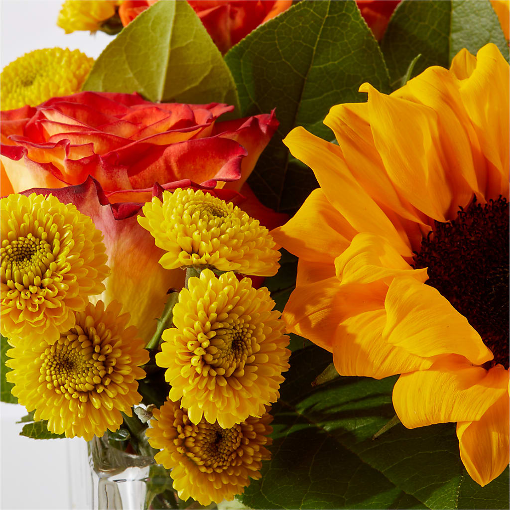 Picnic in the Park Bouquet – DW FLORALS & GIFTS OF SANTA FE, Santa Fe TX
