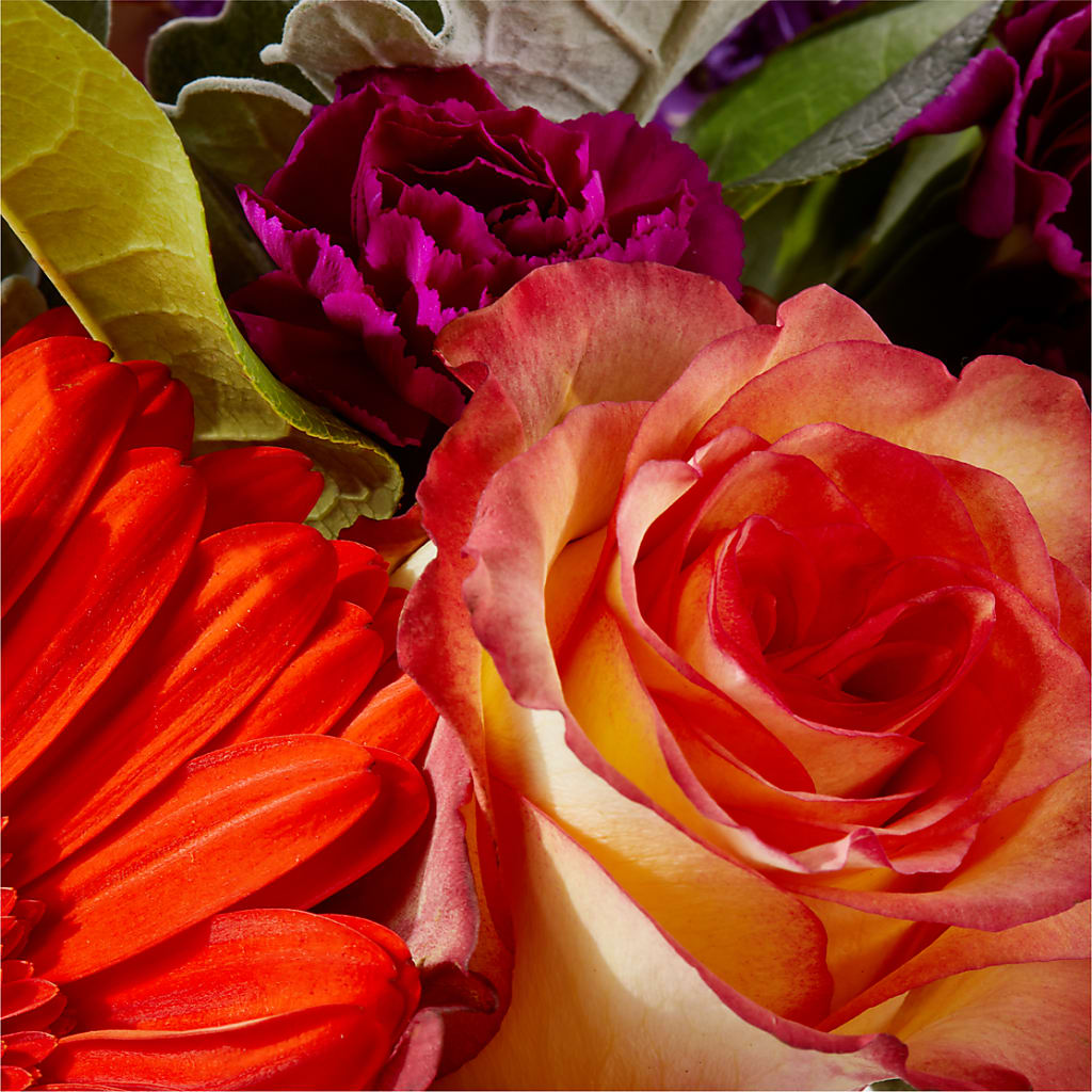 Sangria Bouquet – DW FLORALS & GIFTS OF SANTA FE, Santa Fe TX