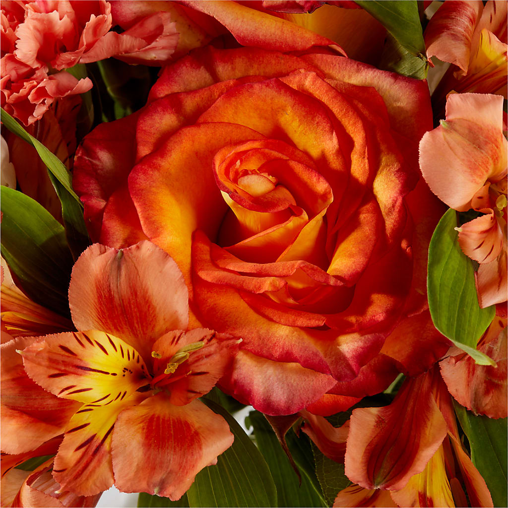 Apricot Glow Bouquet – DW FLORALS & GIFTS OF SANTA FE, Santa Fe TX