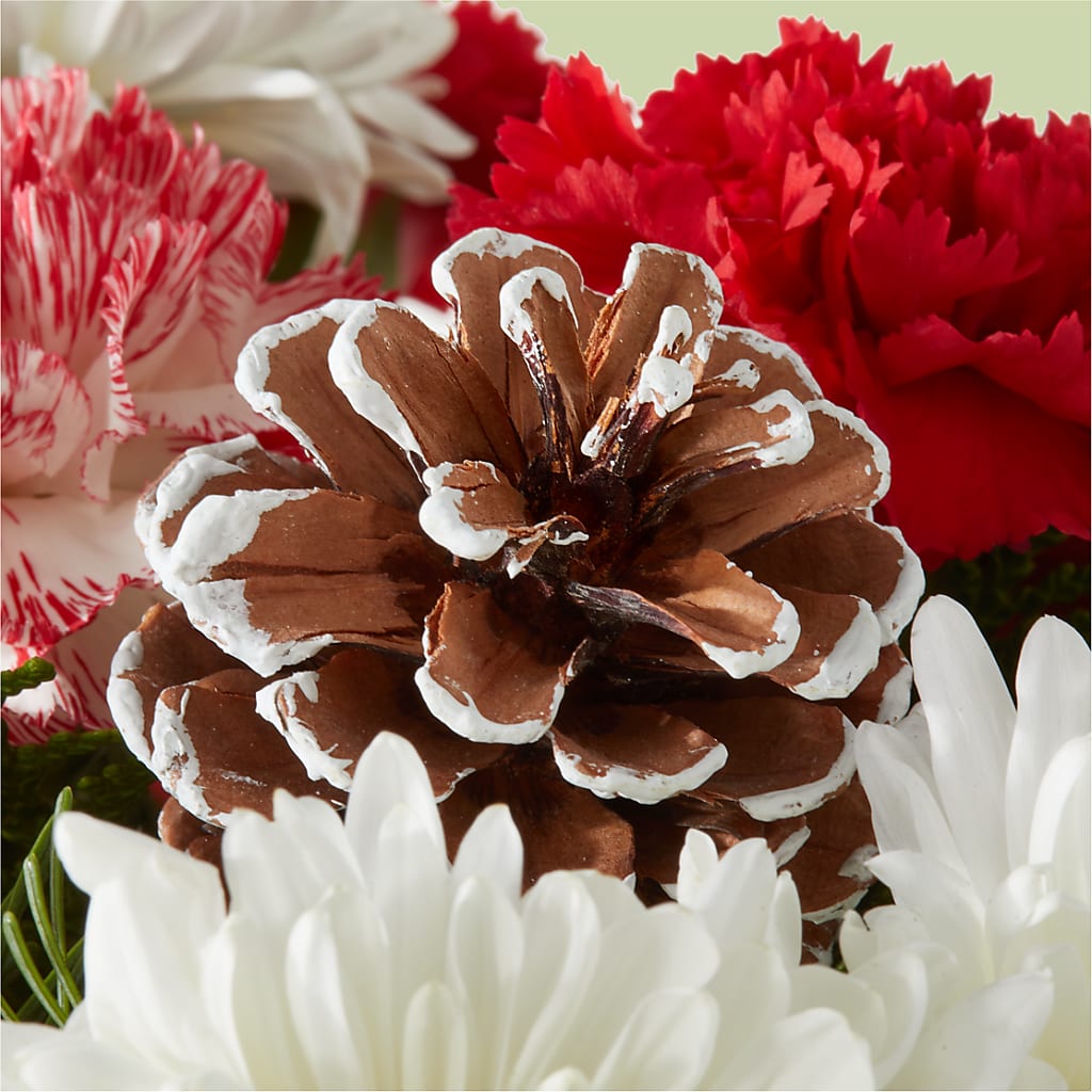 Candy Cane Lane Bouquet – DW FLORALS & GIFTS OF SANTA FE, Santa Fe TX