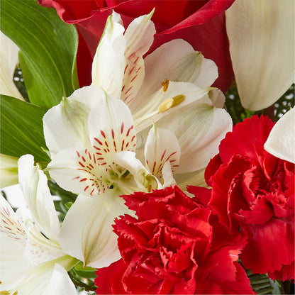 Holiday Season Bouquet – DW FLORALS & GIFTS OF SANTA FE, Santa Fe TX