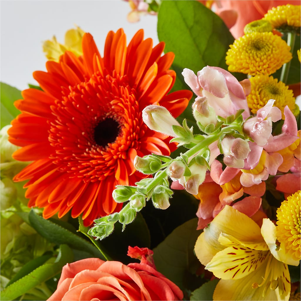 Autumn Sunshine Bouquet – DW FLORALS & GIFTS OF SANTA FE, Santa Fe TX