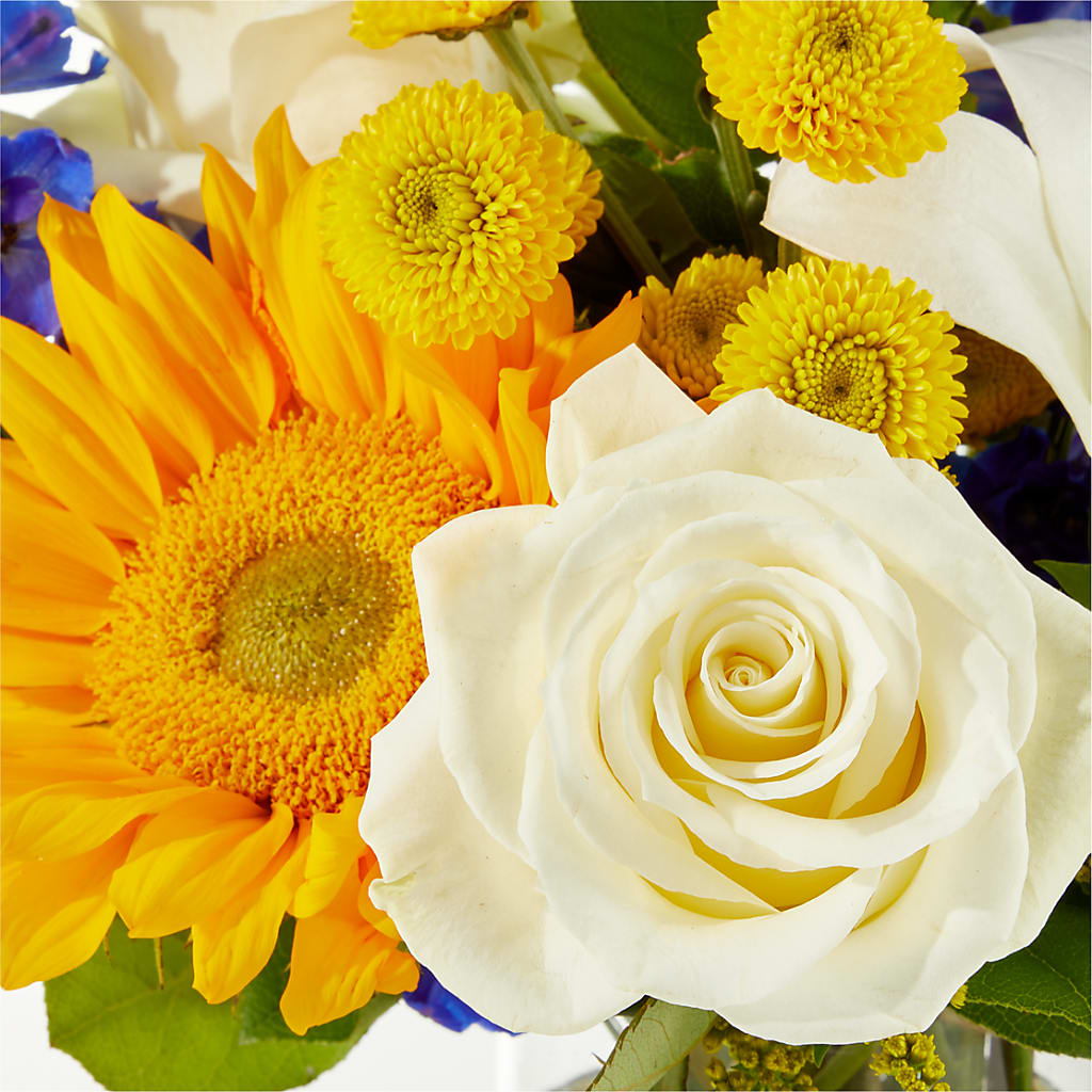 Stargazing Bouquet – DW FLORALS & GIFTS OF SANTA FE, Santa Fe TX