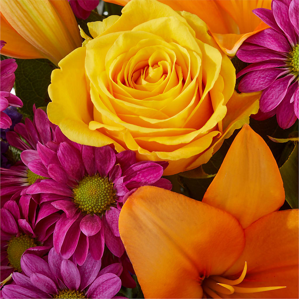 Colorful Visions Bouquet – DW FLORALS & GIFTS OF SANTA FE, Santa Fe TX