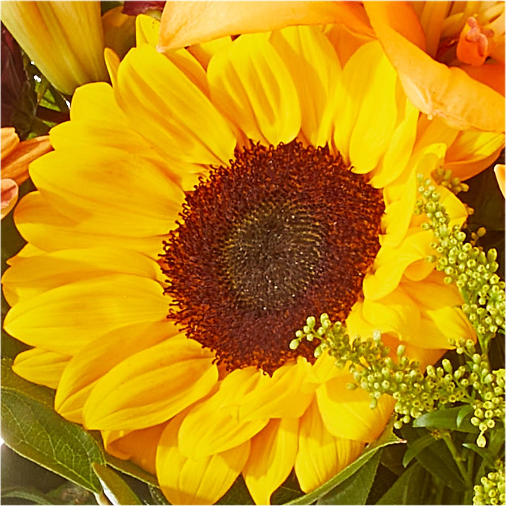 Seasons Change Bouquet – DW FLORALS & GIFTS OF SANTA FE, Santa Fe TX