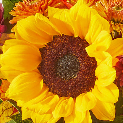 Sunny Side Bouquet – DW FLORALS & GIFTS OF SANTA FE, Santa Fe TX
