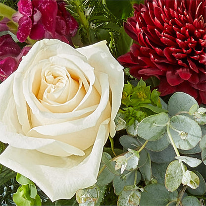 Cranberry Fizz Bouquet – DW FLORALS & GIFTS OF SANTA FE, Santa Fe TX