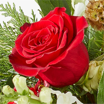 Deck the Halls Bouquet – DW FLORALS & GIFTS OF SANTA FE, Santa Fe TX