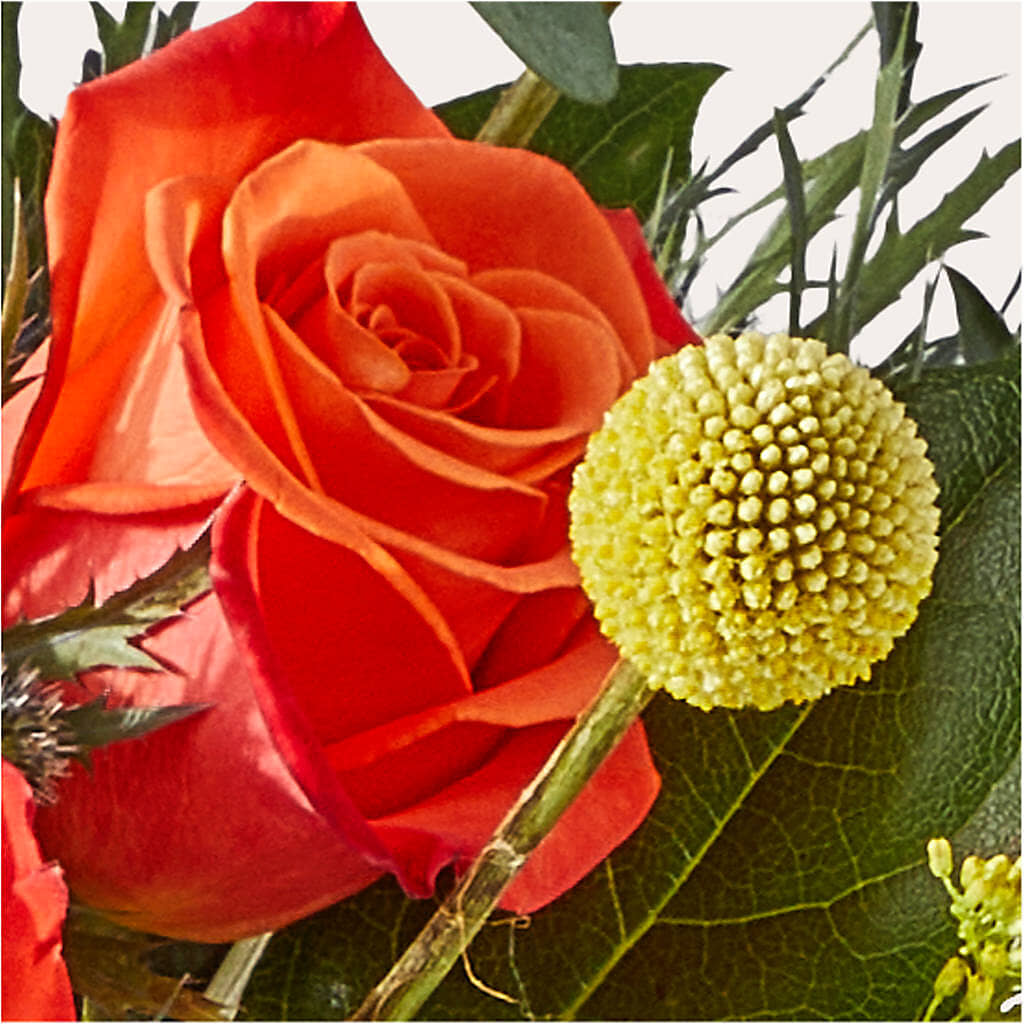 Disco Bouquet – DW FLORALS & GIFTS OF SANTA FE, Santa Fe TX
