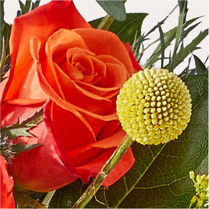 Disco Bouquet – DW FLORALS & GIFTS OF SANTA FE, Santa Fe TX