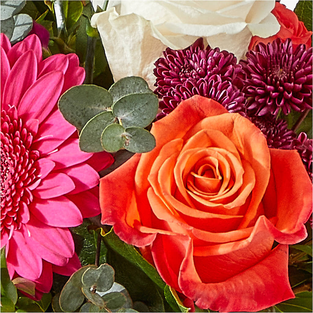 Smell the Roses Bouquet – DW FLORALS & GIFTS OF SANTA FE, Santa Fe TX