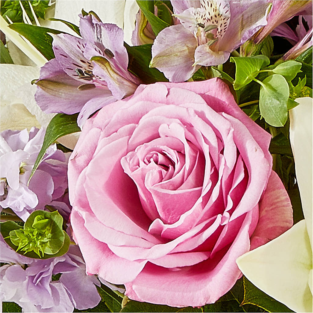 Daydreamer Bouquet – DW FLORALS & GIFTS OF SANTA FE, Santa Fe TX