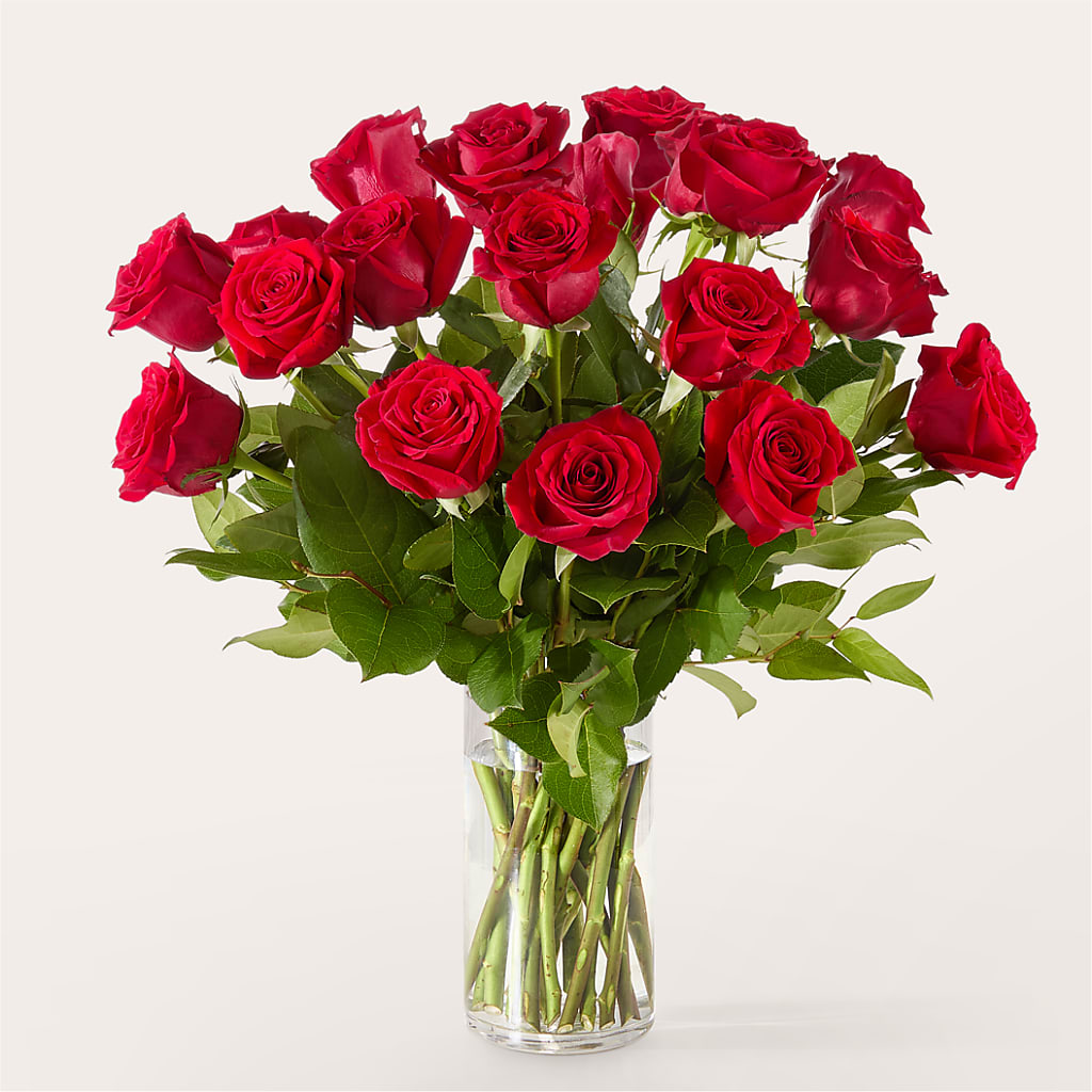 The One Red Rose Bouquet – DW FLORALS & GIFTS OF SANTA FE, Santa Fe TX